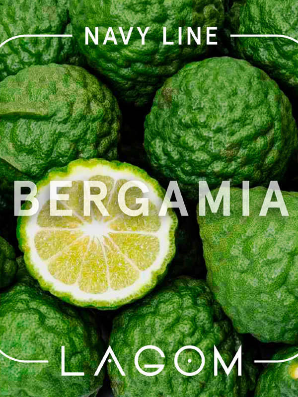 bergmania
