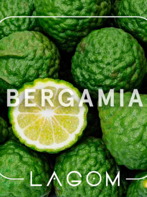 bergmania