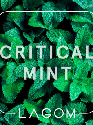critical mint