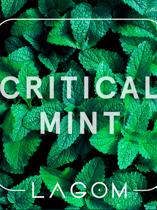 critical mint
