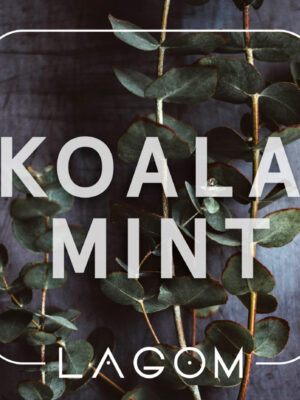 koala mint