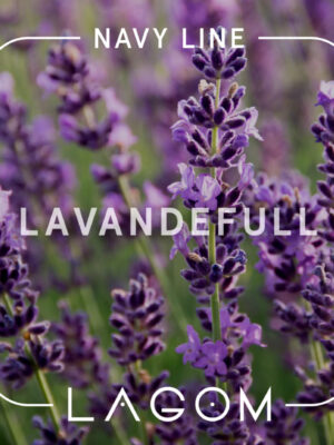lavandafull
