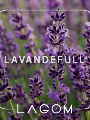 lavandefull