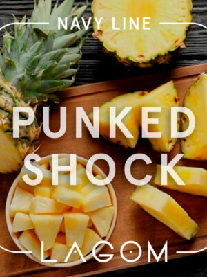 punked shock